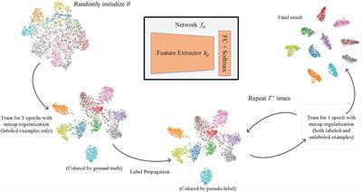 Robust deep semi-supervised learning with label propagation and differential privacy